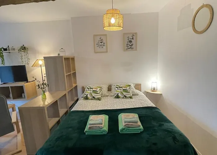 Le Petit Eucalyptus - Cozy - Wifi - Dog Friendly * Montaudin