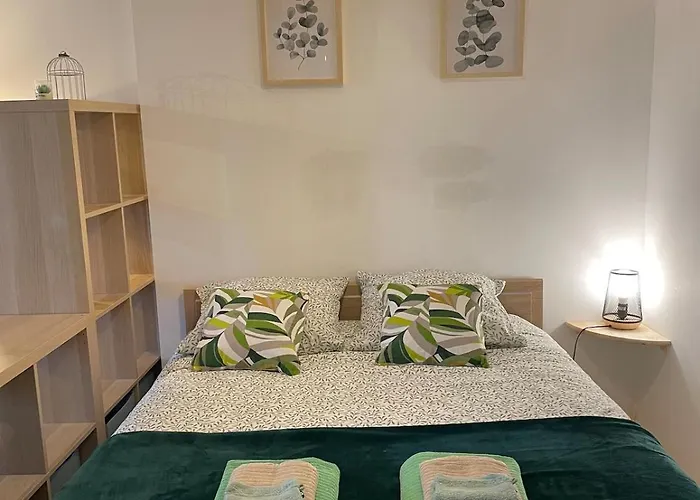 Le Petit Eucalyptus - Cozy - Wifi - Dog Friendly Hébergement de vacances *