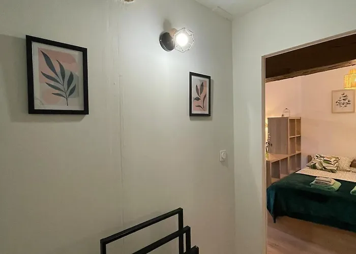 Le Petit Eucalyptus - Cozy - Wifi - Dog Friendly Tatil Evi *